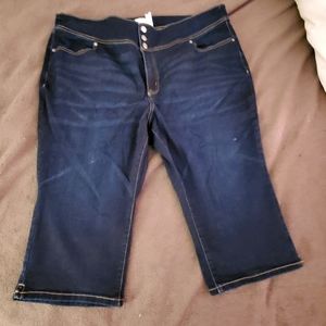 Lane Bryant Crop Pants